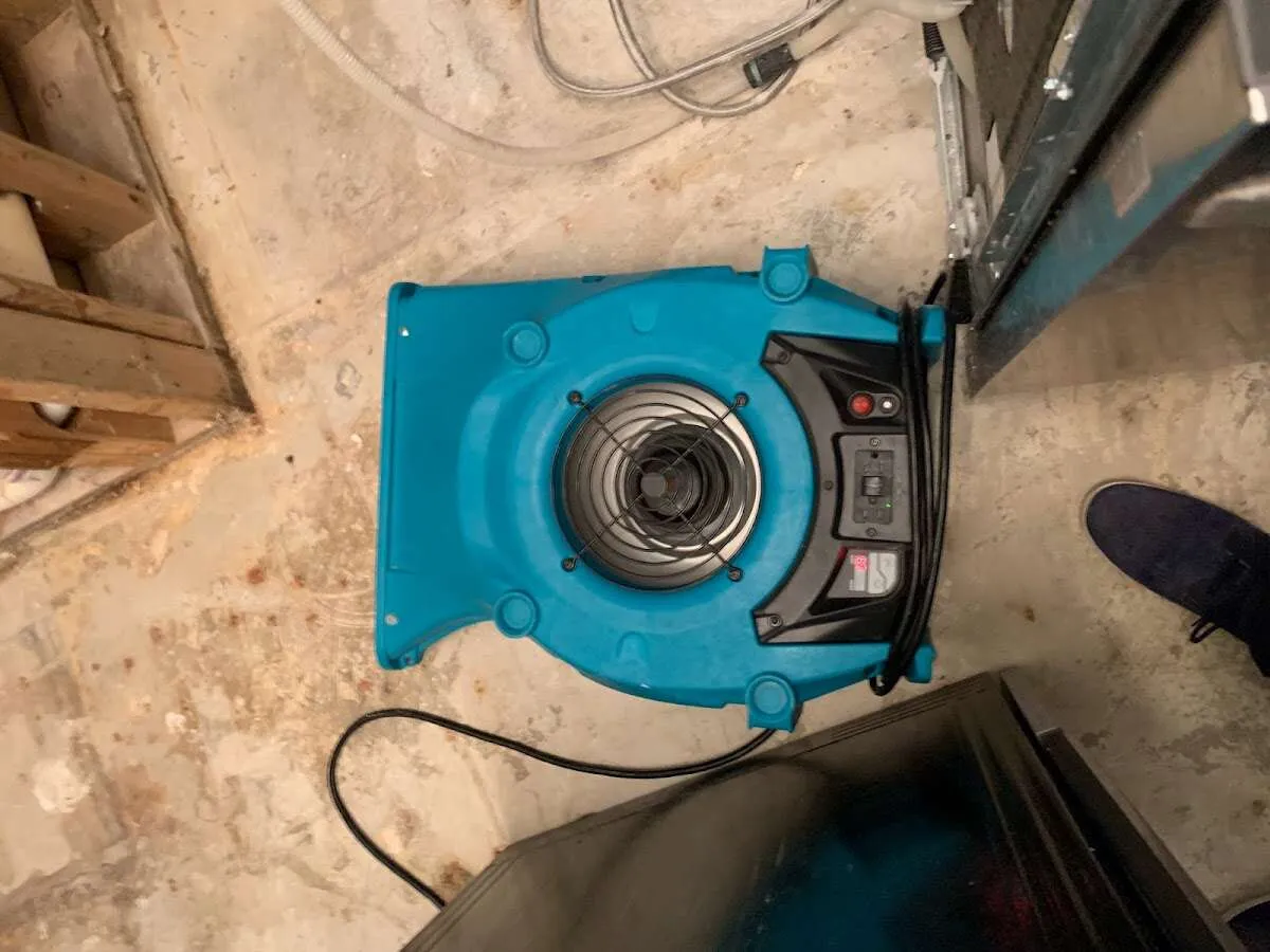 Air mover drying equipment for Mold Remediation & Removal in Griffith